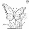 Butterfly On A Gladiolus Coloring Pages