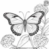 Butterfly On A Hydrangea Coloring Pages