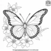 Butterfly On A Jasmine Coloring Pages