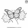 Butterfly On A Maple Leaf Coloring Pages