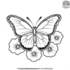 Butterfly On A Morning Glory Coloring Pages