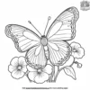 Butterfly On A Pansy Coloring Pages