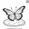 Butterfly On A Pebble Coloring Pages