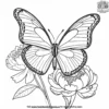 Butterfly On A Peony Coloring Pages