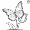 Butterfly On A Tulip Coloring Pages