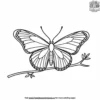 Butterfly On A Twig Coloring Pages