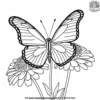 Butterfly On A Zinnia Coloring Pages