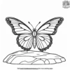 Butterfly Over A Rock Coloring Pages