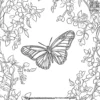 Butterfly and Blooming Vines Coloring Pages