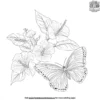 Butterfly and Hibiscus Flowers Coloring Pages