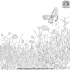 Butterfly in a Meadow Coloring Pages