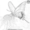 Butterfly on a Flower Coloring Pages