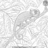 Chameleon Charm Coloring Pages