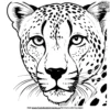 Cheetah Eyes Close Up Coloring Pages