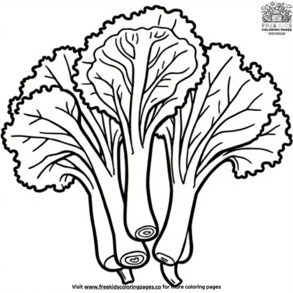 Chinese broccoli coloring pages