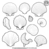 Coastal Seashell Collection Coloring Pages