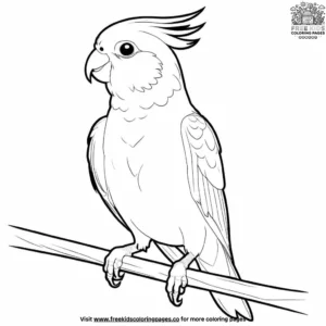 Cockatiel Parrot Coloring Pages