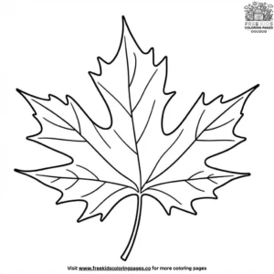 Colorful Autumn Maple Leaves Coloring Pages