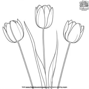 Colorful Spring Tulips Coloring Pages