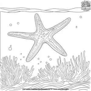 Colorful Starfish in the Coral Coloring Pages