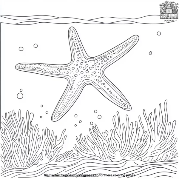 Colorful starfish in the coral coloring pages