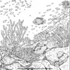 Coral Reef Creatures Coloring Pages