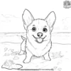 Corgi at the Beach Coloring Pages