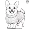 Corgi in a Sweater Coloring Pages