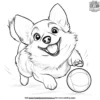 Corgi with a Ball Coloring Pages