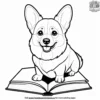 Corgi with a Book Coloring Pages