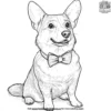 Corgi with a Bow Tie Coloring Pages