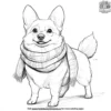 Corgi with a Scarf Coloring Pages