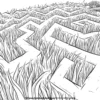 Corn Maze Explorations Pages