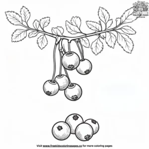 Cranberry coloring pages