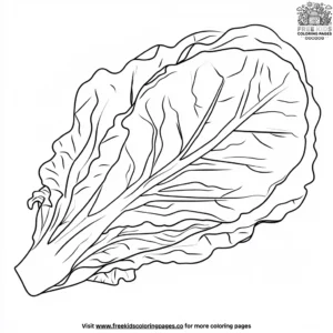 Crisp Lettuce Coloring Pages