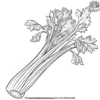 Crunchy Celery Coloring Pages