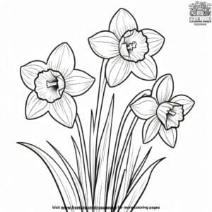 Daffodil Delight Coloring Pages