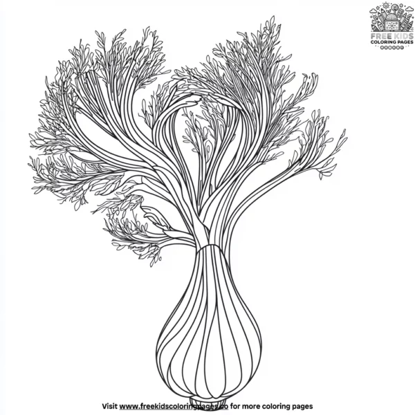 Delicate fennel coloring pages