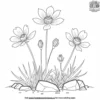 Delicate Mountain Flowers Coloring Pages