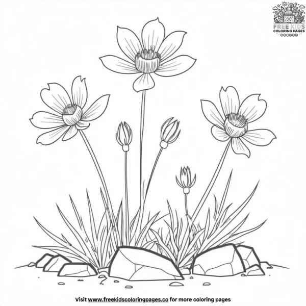 Delicate mountain flowers coloring pages