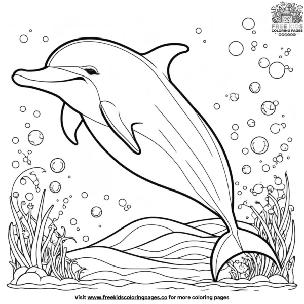 Dolphin coloring pages