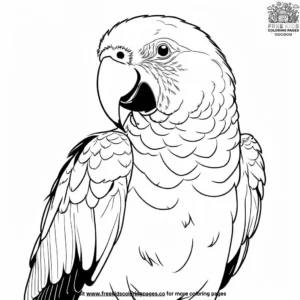 Double yellow headed parrot coloring pages