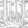 Earth's Forests Coloring Pages