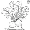 Earthy Beetroot Coloring Pages