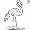 Elegant Flamingo Pose Coloring Pages