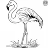 Fancy Flamingo Coloring Pages