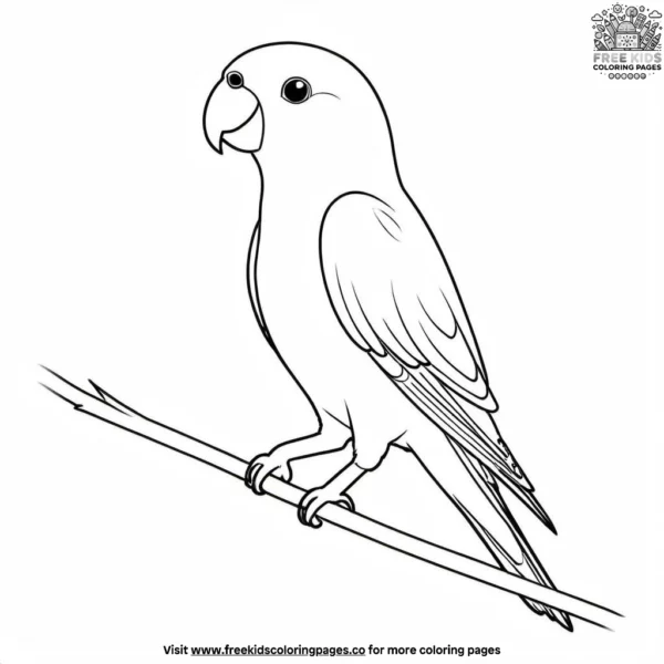 Fischer's parrot coloring pages