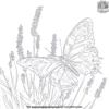 Fluttering Butterflies and Lavender Coloring Pages