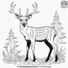 Forest Animals Coloring Pages