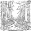 Forest Floor Coloring Pages